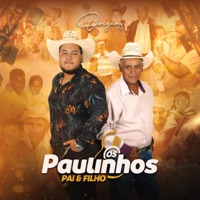 OS PAULINHOS
