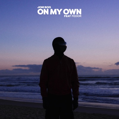On My Own (feat. Fedor) - Single