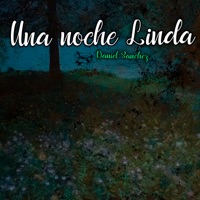 Una Noche Linda - Single - Daniel Sanchez