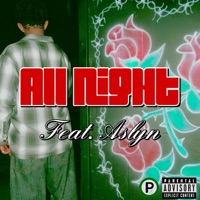All Night (feat. Aslyn) - Single - Pak Joko