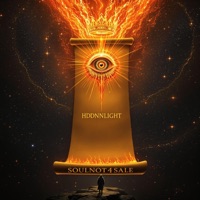 SOULNOT4SALE - Single - HDDNNLIGHT & DONNY ARCADE