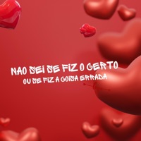 Não Sei se Fiz o Certo, Ou Se Fiz a Coisa Errada (feat. Mc Rennan & Mc Fopi) - Single - Dj Lucas Do Taquaril