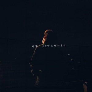 Mr. Optimist - Single