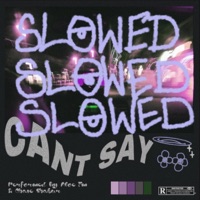 CANT SAY (SLOWED) [feat. Chase Shakur] - Single - Aloe Fm