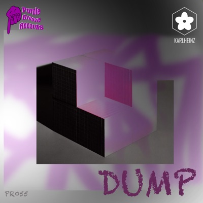Dump - Single