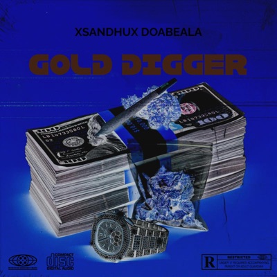 Gold Digger - Single
