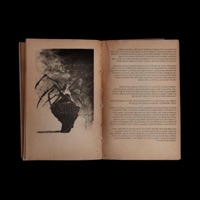 Arachne - Single - Azpex