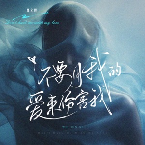 不要用我的爱来伤害我 - Single