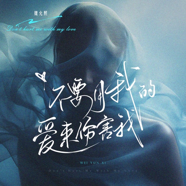 不要用我的爱来伤害我 - Single