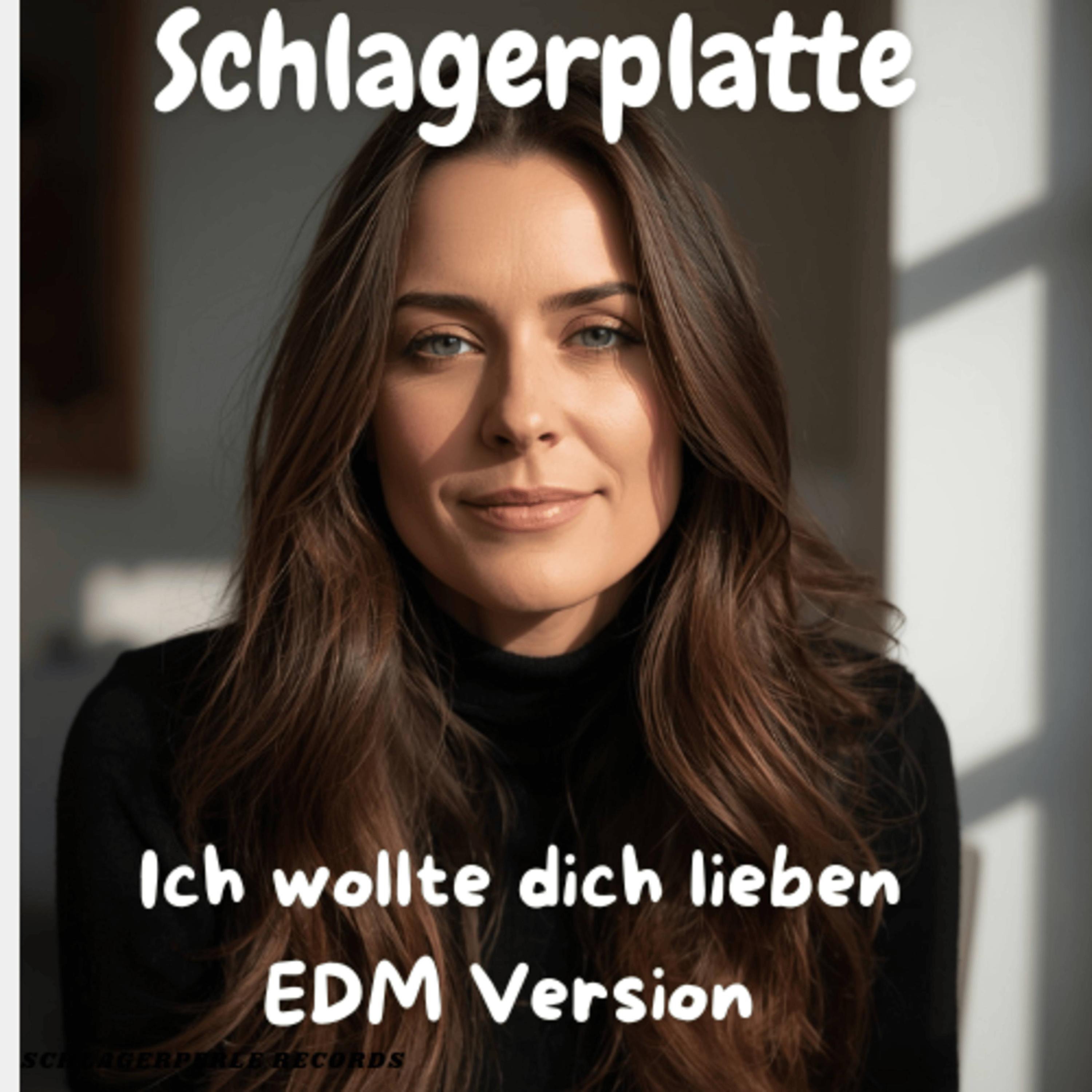 Ich wollte dich Lieben (EDM Version) - Single