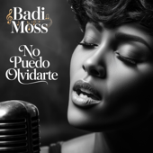 No Puedo Olvidarte song art