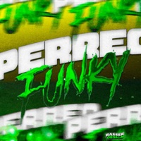 PERREO FUNKY - Single - Lil Santi