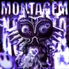 MONTAGEM XONADA