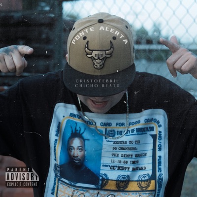 Ponte Alerta - Single