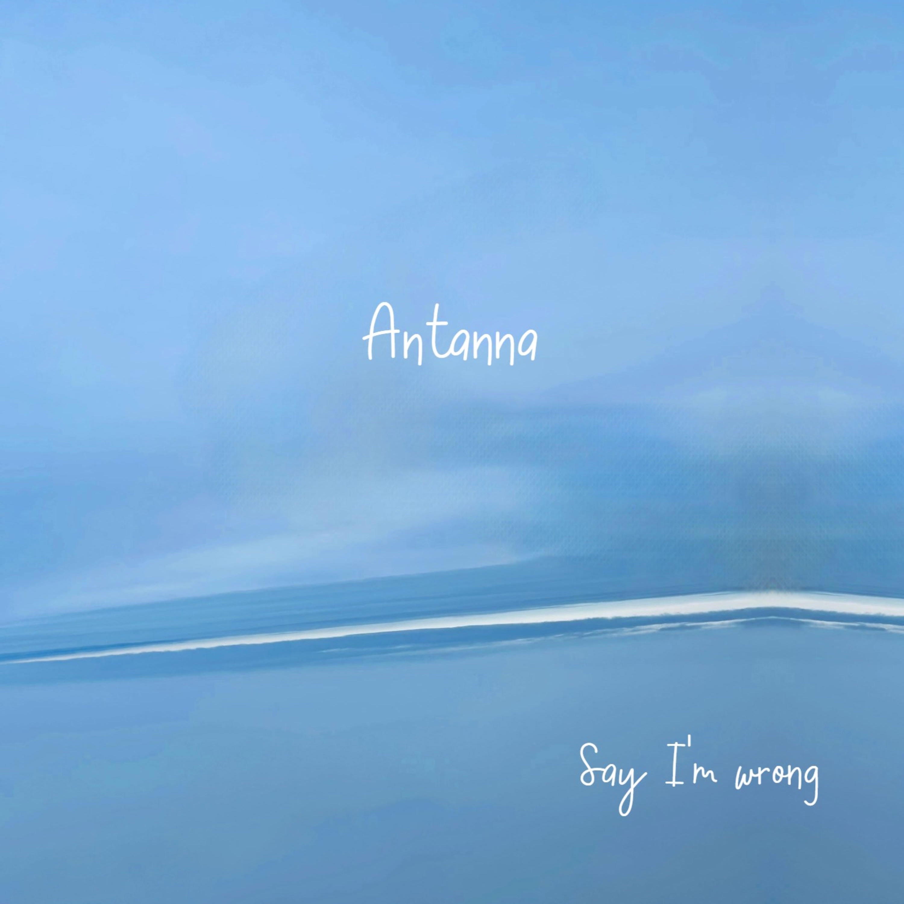 Say I'm wrong - Single