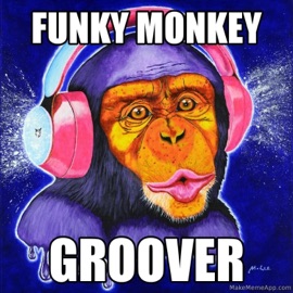 Funky Monkey Groover