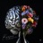 Brains