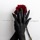 No photo
