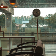 Die With A Smile - SAFEHSE