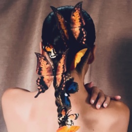 Butterflies Sierra Sellers