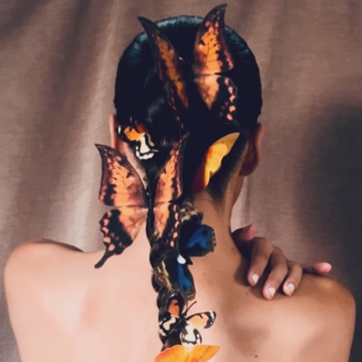 Butterflies - Single