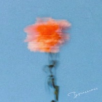 impressions - Single - Ansh