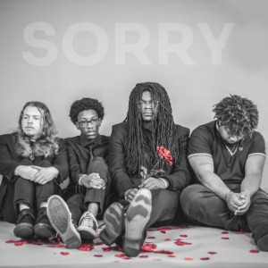 Sorry - Single