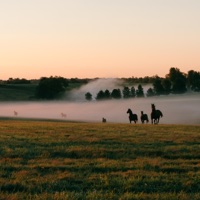 Fire Horse Demos (Demo) - Single - Jung Youth