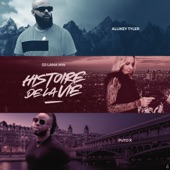 Histoire De La Vie (feat. Puto X & Allikey Tyler) artwork