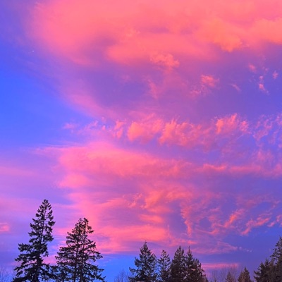 In My Wallet - Single