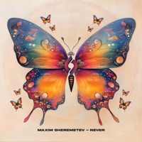 Never - Single - Maxim Sheremetev