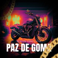 Paz De Goma - Single - Dj Lk, Mc Allan & Lionel