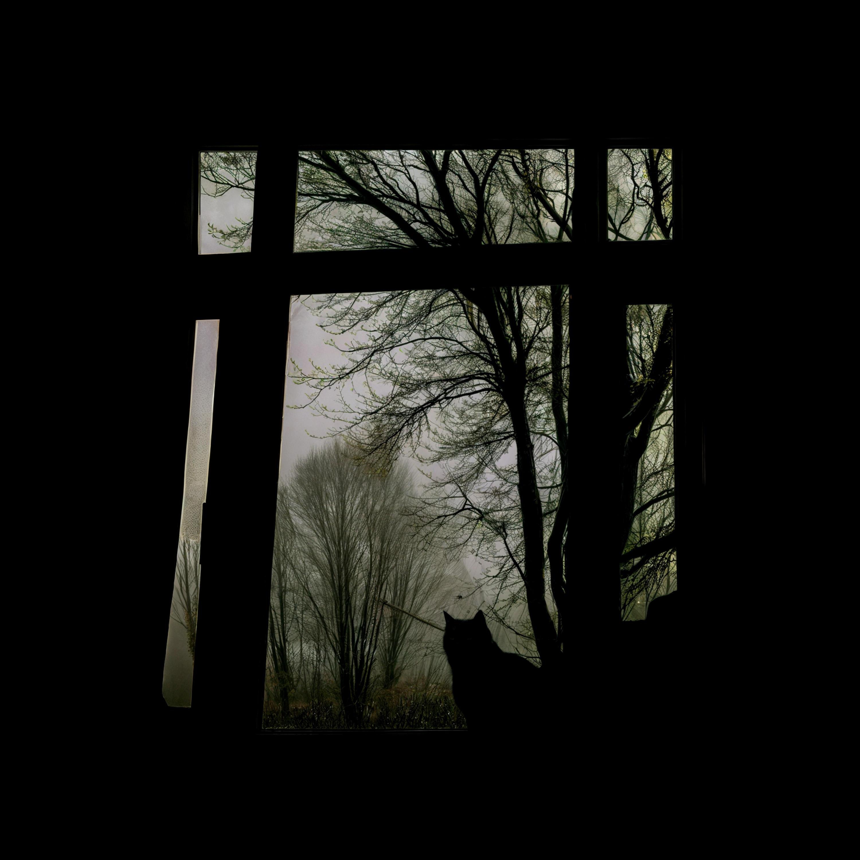 Zamana Alış - Single