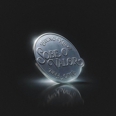 Sobe o Valor - Single