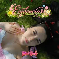 Evidencias — Mel Ruiz