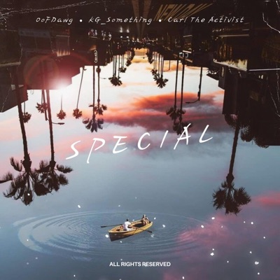 Special (feat. Carl The Activist) - Single