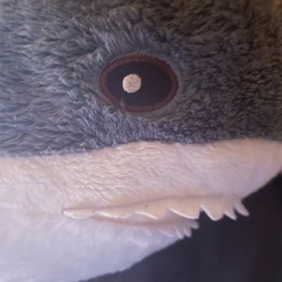 I cant think too fast - Single