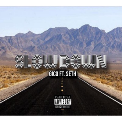 SLOWDOWN (feat. seth) - Single