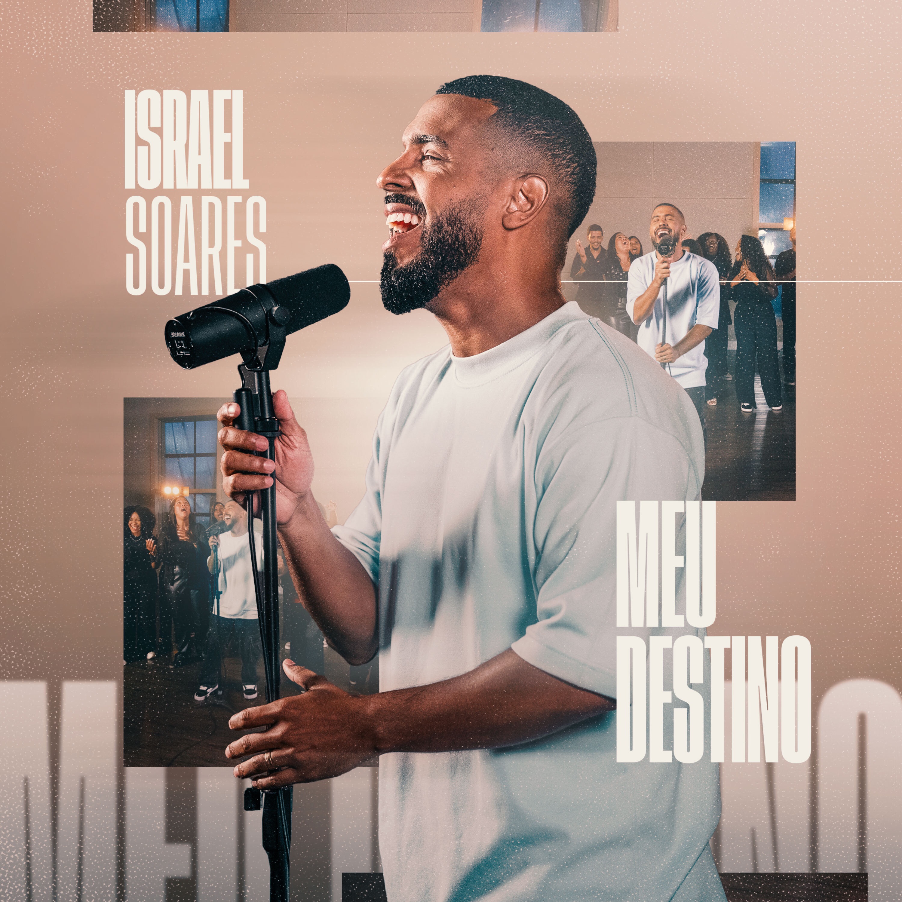 Meu Destino - Single