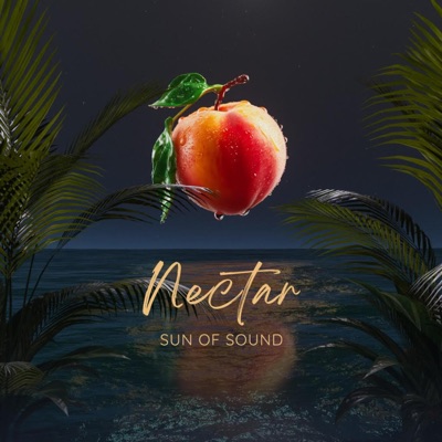Nectar - Single