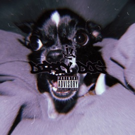 dirty dog bo