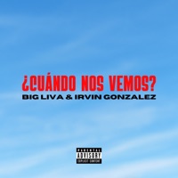 ¿Cuándo nos vemos? (Extended Version) - Single - Big Liva & Irvin Gonzalez