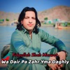 Wa Dair Pa Zahr Yma Daghly - Single