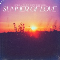 Summer Of Love - Single - Cale & Timmy Commerford