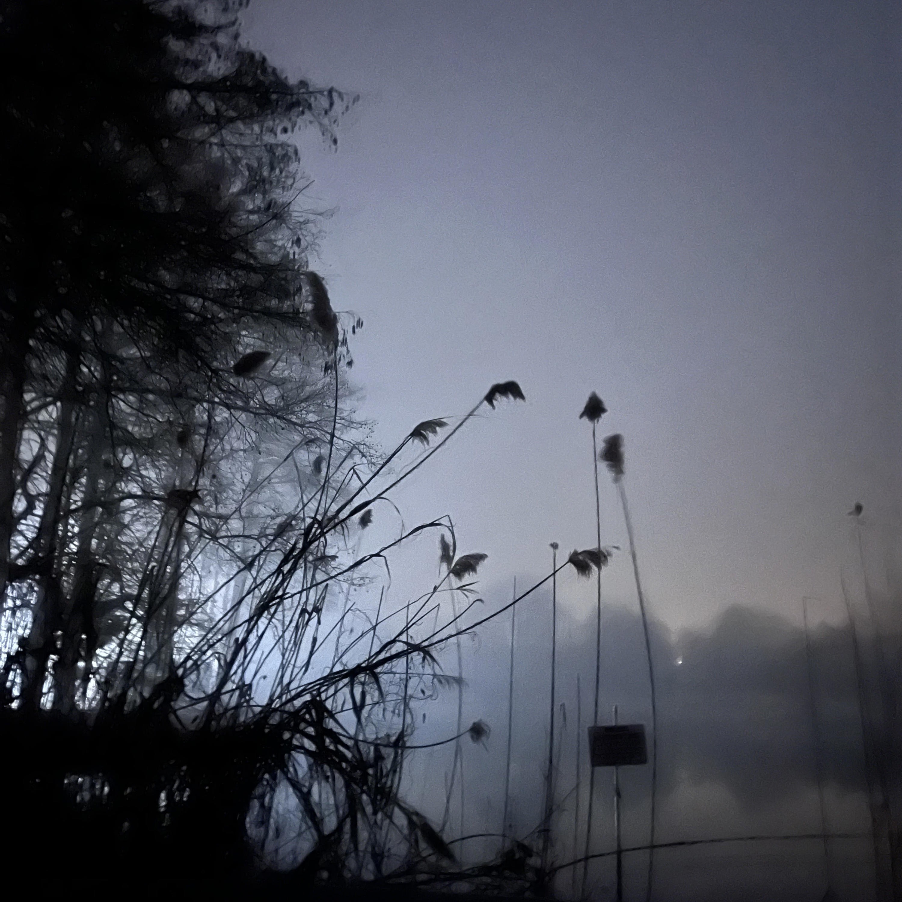 ⎎⟟⍀⌇⏁ ⏁⟟⋔⟒ ⎎⍜⍀ ⟒⎐⟒⍀⊬⏁⊑⟟⋏☌ - Single