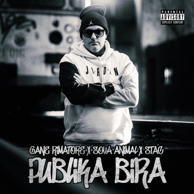 Publika bira (feat. Gane Rimatore & Sova Animal) - Single