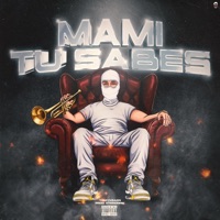 Mami tu sabes - Single