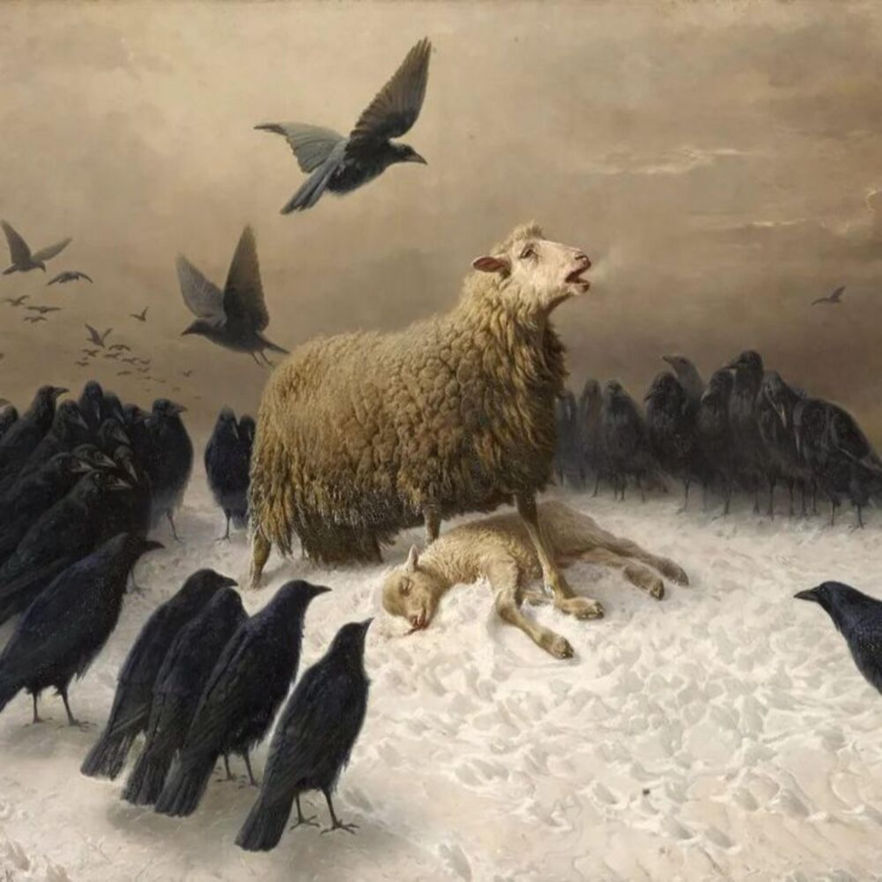 Village de Noël - A Saint-Quentin