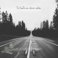 Te Fuiste Sin Decir Adiós - Single - Grupo Los New Hits