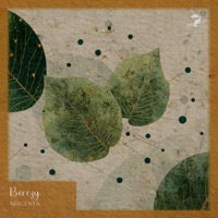 Magenta - Single - Berezy